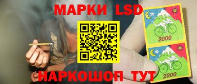 гашик Михайловск