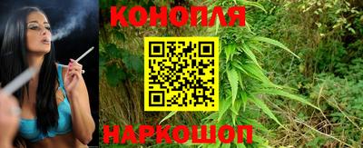 прущие крисы Мирный