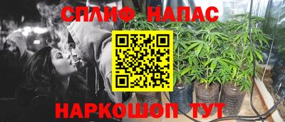 прущие крисы Мирный