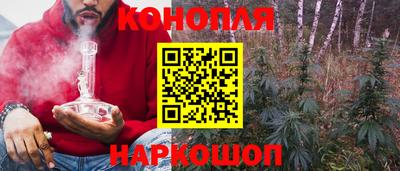 гашик Михайловск