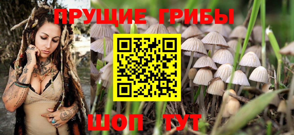 Псилоцибиновые грибы GOLDEN TEACHER Нефтеюганск