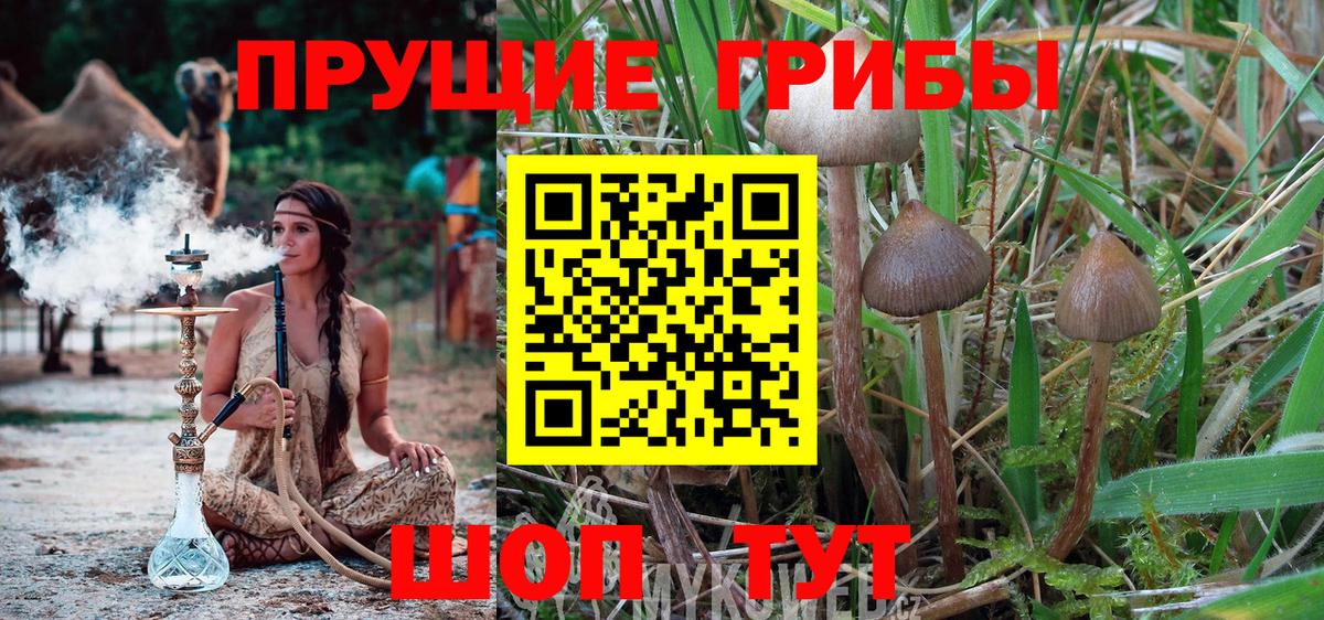 Нефтеюганск  Галлюциногенные грибы ЛСД  Вход с VPN 